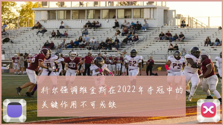 科尔强调维金斯在2022年夺冠中的关键作用不可或缺