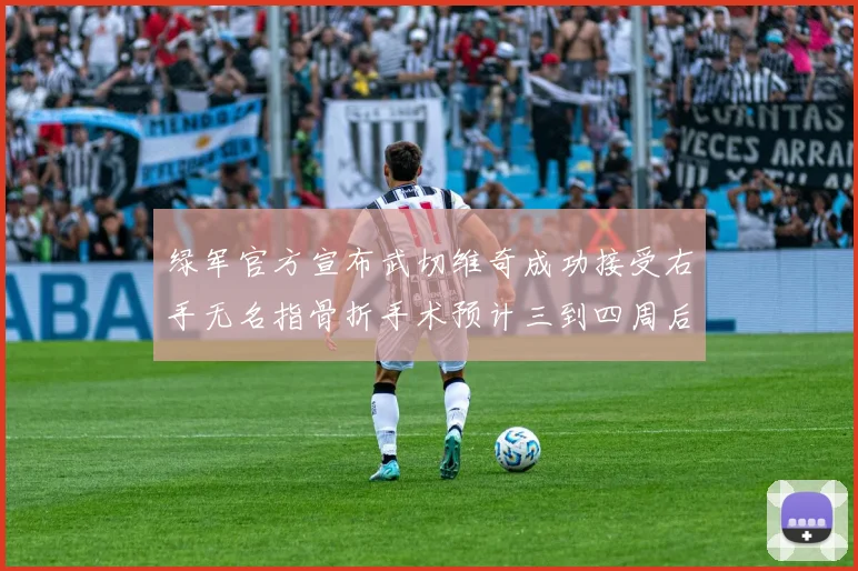 绿军官方宣布武切维奇成功接受右手无名指骨折手术预计三到四周后复查