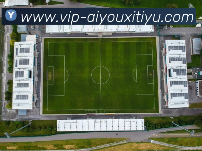 爱游戏体育平台生态图